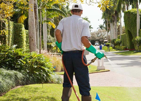 About Flanagan IL Pest Control